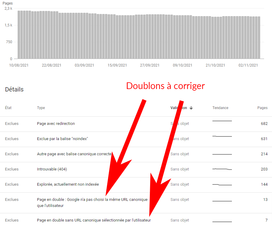 Pages en doublons signalées par la Search Console