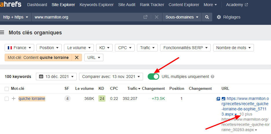 Positionnement multiple, cannibalisation probable - Ahrefs