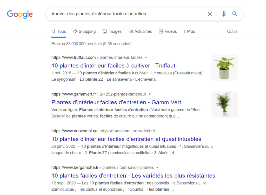 Résultats organiques - Extrait SERP Google