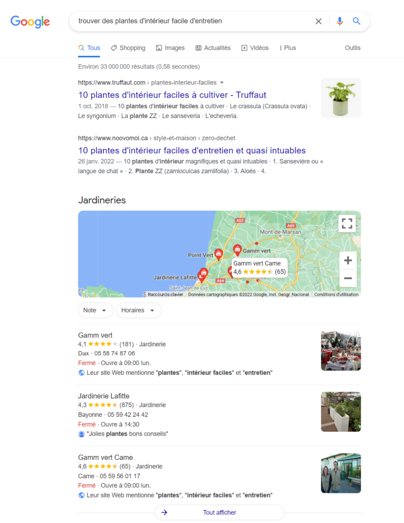 Pack local - Extrait SERP Google