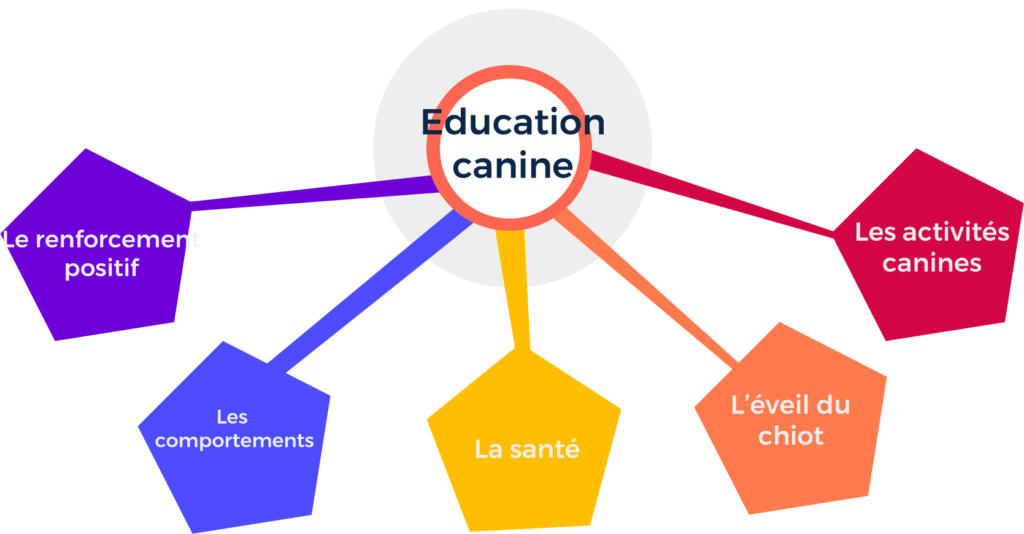 Exemple de Topic Cluster sur le thème de l'éducation canine - SEOQuantum